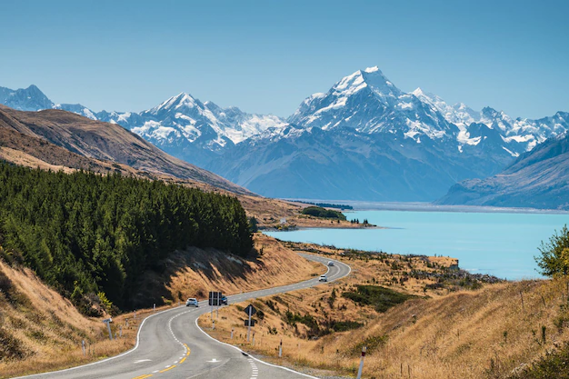 Want to get sop writing services for New Zealand? Here we can help you