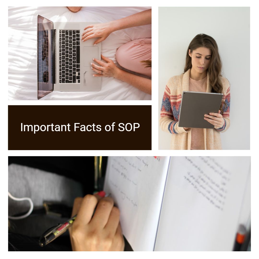 Important facts about sop, complete information about statement of purpose